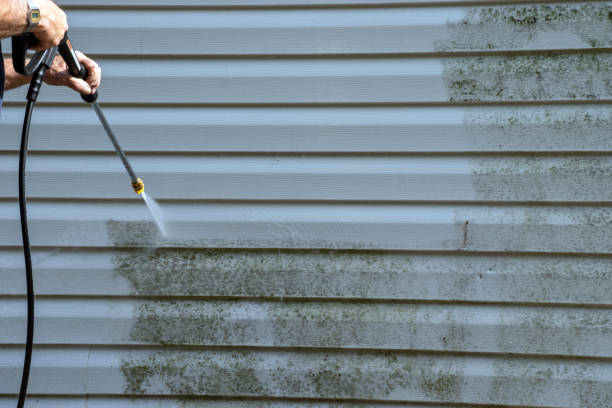 Best Engineered Wood Siding  in Montezuma, GA