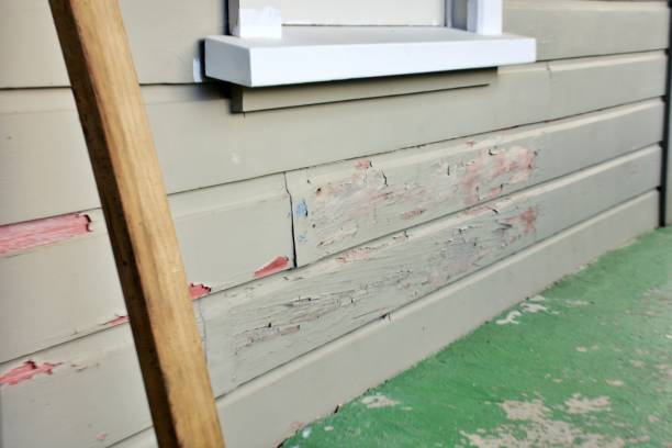 Best Wood Siding Installation  in Montezuma, GA